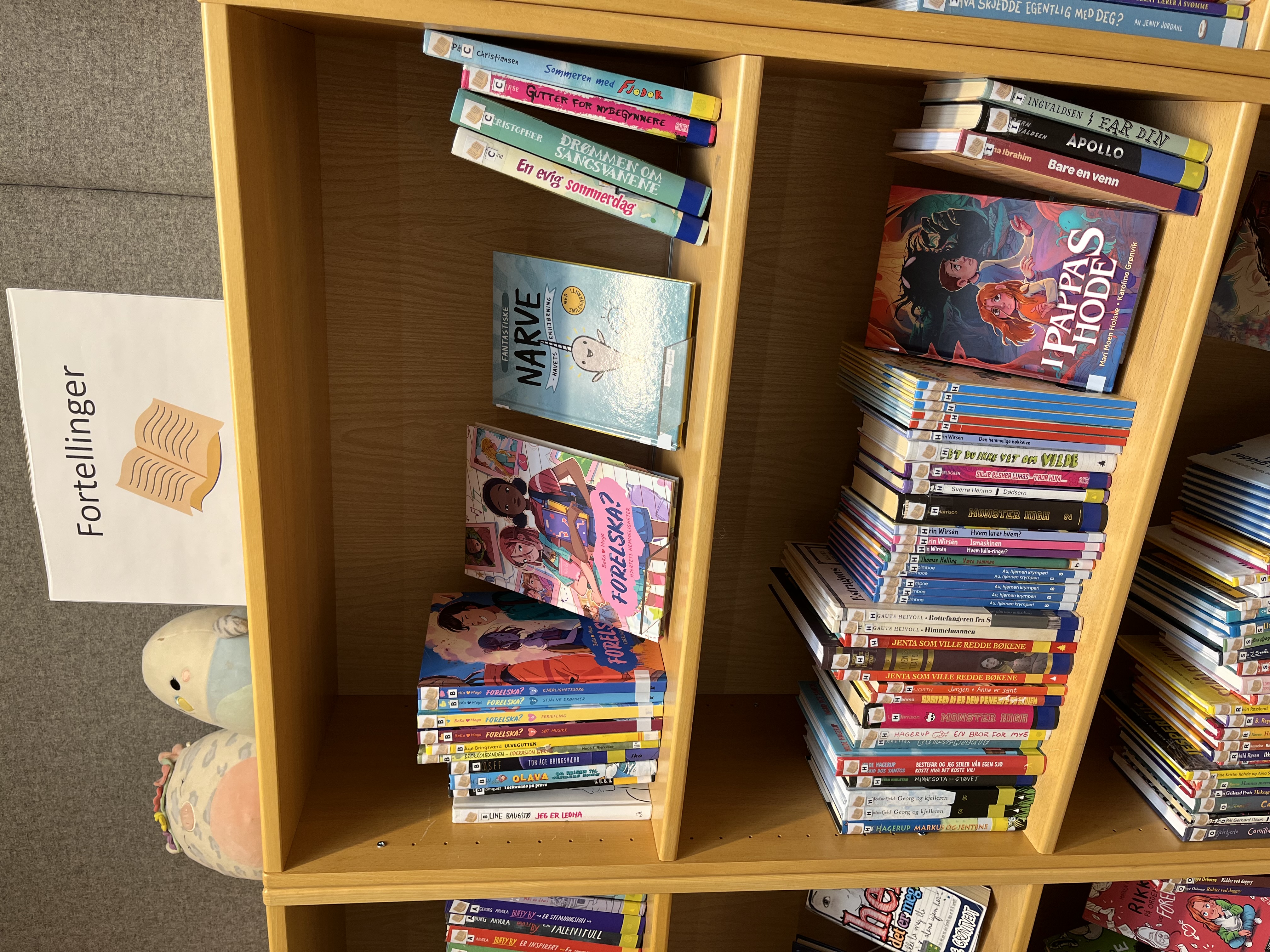 Døli skole åpner nytt skolebibliotek