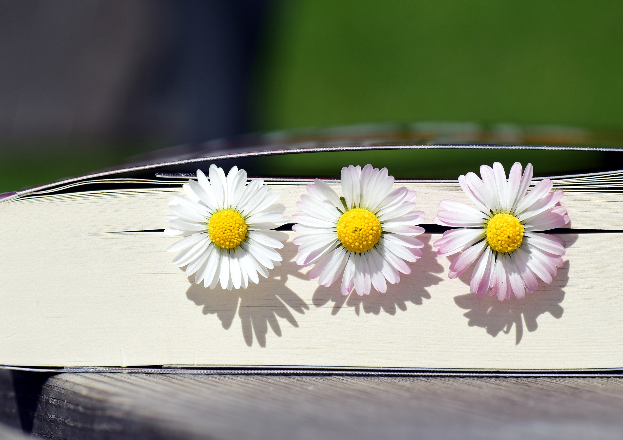 Sommeråpningstider på biblioteket
